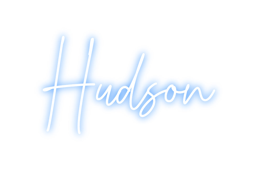 Custom Neon: Hudson