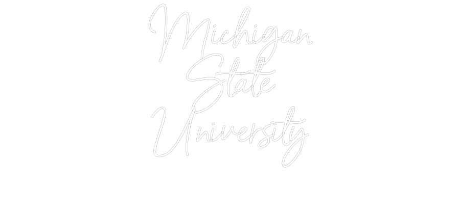 Custom Neon: Michigan
Sta...