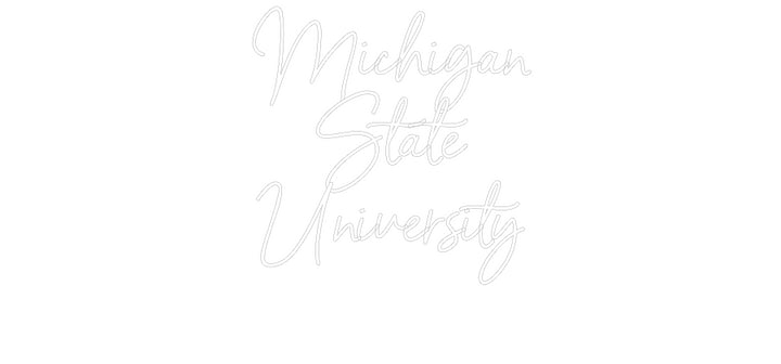 Custom Neon: Michigan
Sta...