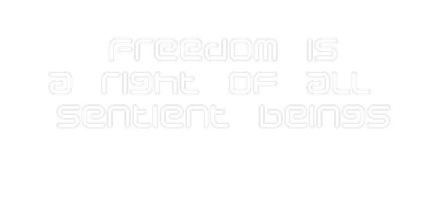 Custom Neon: Freedom is
a...