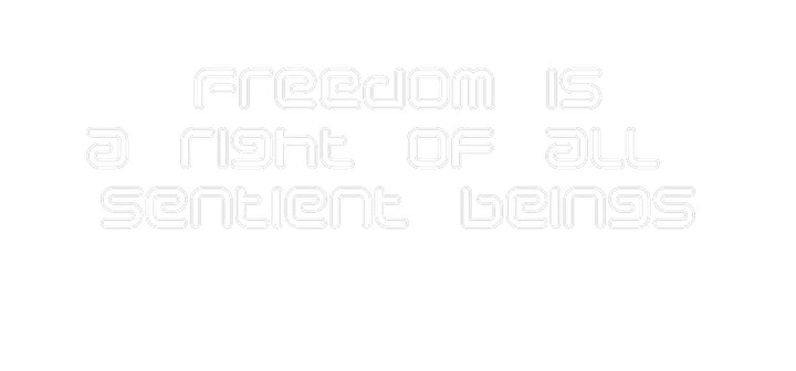 Custom Neon: Freedom is
a...